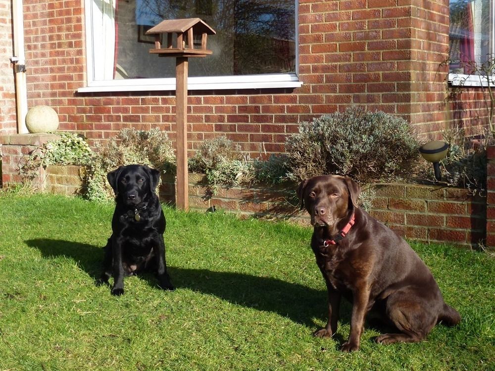 Manor Farm Stay Sutton-on-Sea 外观 照片